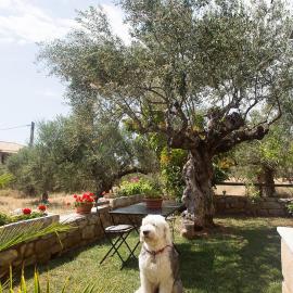 Small paradise in Saint Nicolas Village !