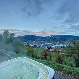 Chalet de standing 12 personnes, hotel a Gérardmer