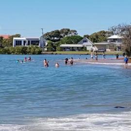 Puppies&Pancakes at Innes Park Opp Park&Beach Dogs welcome inside, hotel in Pemberton