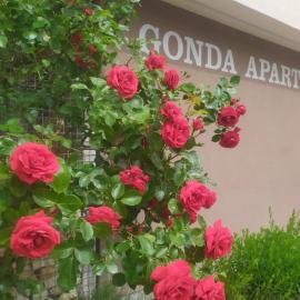 Gonda Apartments