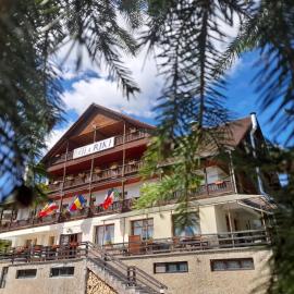 Vila Riki, Hotel in Borsec