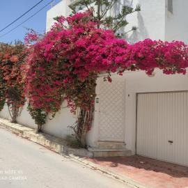 Villa Chic Garden & Parking -10 mn Airport
