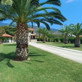 Villa Kallimanis, hotel em Platanidia