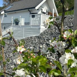 Fjord road, hotel v destinácii Hjelmeland