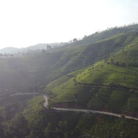 Casa de Selas, Hotel in Coonoor