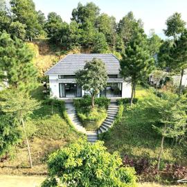 Maryland Garden - Venustay