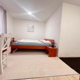 Monstera II - pokoj economy, hotel en Kolín
