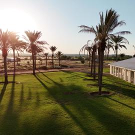 Mariental में, होटल Flying Ostrich Guesthouse & Palmrest Farmstall