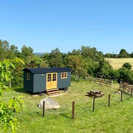 Wicklow Wild Glamping Shepherds Huts at Greenan Maze, hotel a Rathdrum