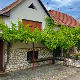 Ubytování Pod Hrozny, hotel in Velké Bílovice