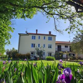 Apartments Marija, hotell i Murine