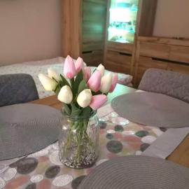 Przytulne M1 u podnóża gór, hotell i Kowary
