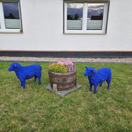 Ferienwohnung zu den Blauen Schafen, hotel v destinaci Rheinsberg