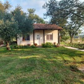 Apartment Marijana, hotell i Murine