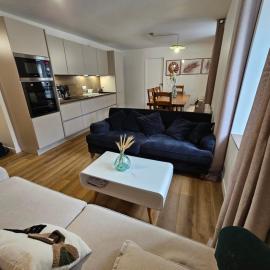 Appartements 4, 5 et 10 personnes rénovés en centre-ville、Mont-Doreのホテル