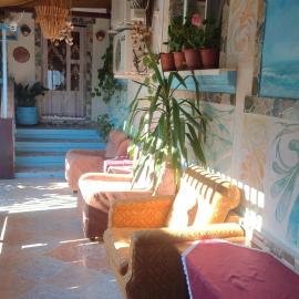 Casa de vacanta ,,Puiu & Nelly,,, hotel in Sulina
