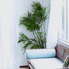 Newly renovated 1970s house Dog and kid friendly, hotel i Marcoola