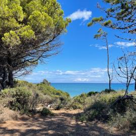 Appartement bord de mer T4 marina di bravonne N5-6