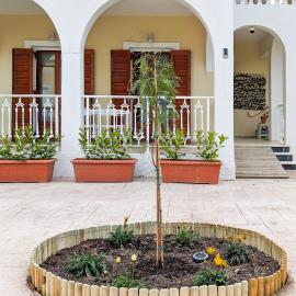 Archzante boutique villa