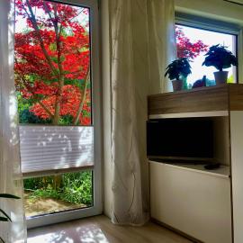 sonnige Idylle, Hotel in Oldenburg in Holstein