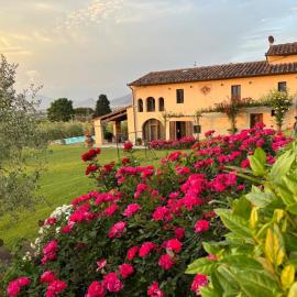 Podere agli Arrighi, hotel a Signa