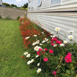 Rosslare Harbour Holiday Mobile Home, hotel i Rosslare