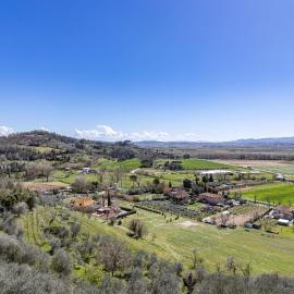 Bellavista