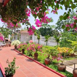 Nha Xanh Homestay