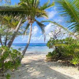 MOOREA CHILL and BEACH LODGE, hotel em Teavaro