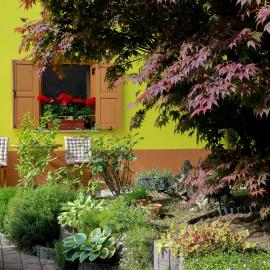 Apartma Dvor Milena