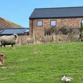 The Hayloft, Modern 4 Bed, 8 person, Barn Conversion in a Rural Location with Great Access & Hot Tub, hotel a Silkstone