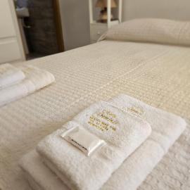 Hotel Geminis, hotell i Mendoza