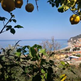 Casa Spisidda Appartamento bilocale "Salina" con vista sulle Eolie