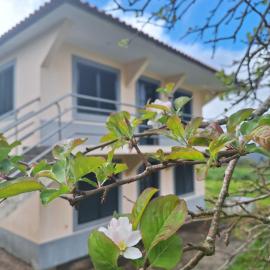 Villa Correia - Ribeiro Frio