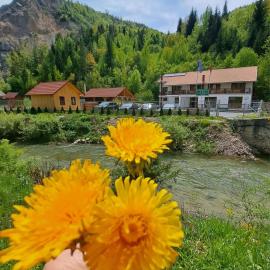Pensiunea Cheile Șugăului, ξενοδοχείο σε Bicaz Chei