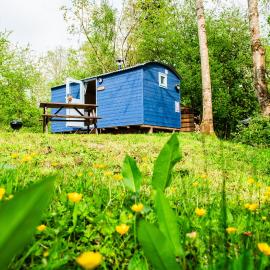 Cosy Shepherd's Hut with Hot Tub, hotel in Church Stretton