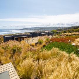 Hotel Alaia, hotel a Pichilemu