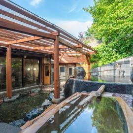 Uesugi no Miyu Gotenmori, hotel en Nanyo