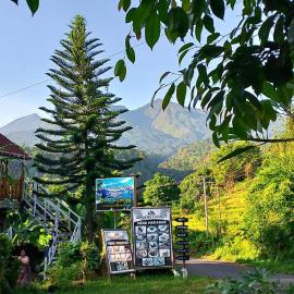 Blue Mountain Cottage, Hotel in Senaru