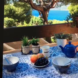 T2 vue Mer avec balcon, climatisé, piscine