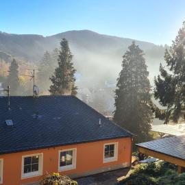 Maxi-Appartement zum gechillten Hirsch OG Traben-Trarbach, Hotel in Traben-Trarbach