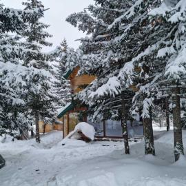 Koljensic house and bungalows