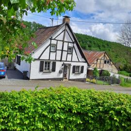 Demerath에 위치한 호텔 Landhaus Eifel