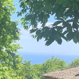 Pelion 7 Lives