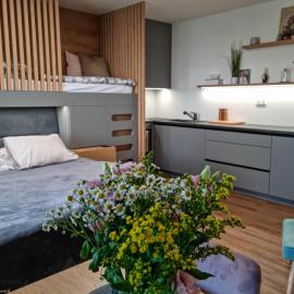 MINIMAX apartmán, ξενοδοχείο σε Deštné v Orlických horách