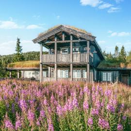 5 Bedroom Gorgeous Home In Engerdal, hotel v mestu Nymoen
