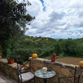 Casa das Janelinhas - Cottage near Sintra, Mafra, Ericeira – hotel w mieście Mafra