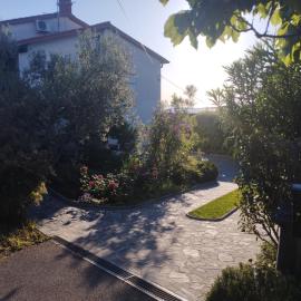 Zala Apartment