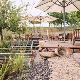 Hackenheim में, होटल BioWeingut & Landhotel Gänz