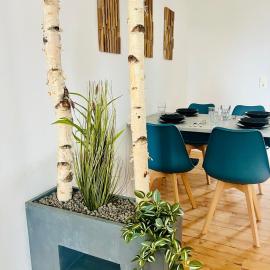 Zuhause, hotel Kehl am Rheinben